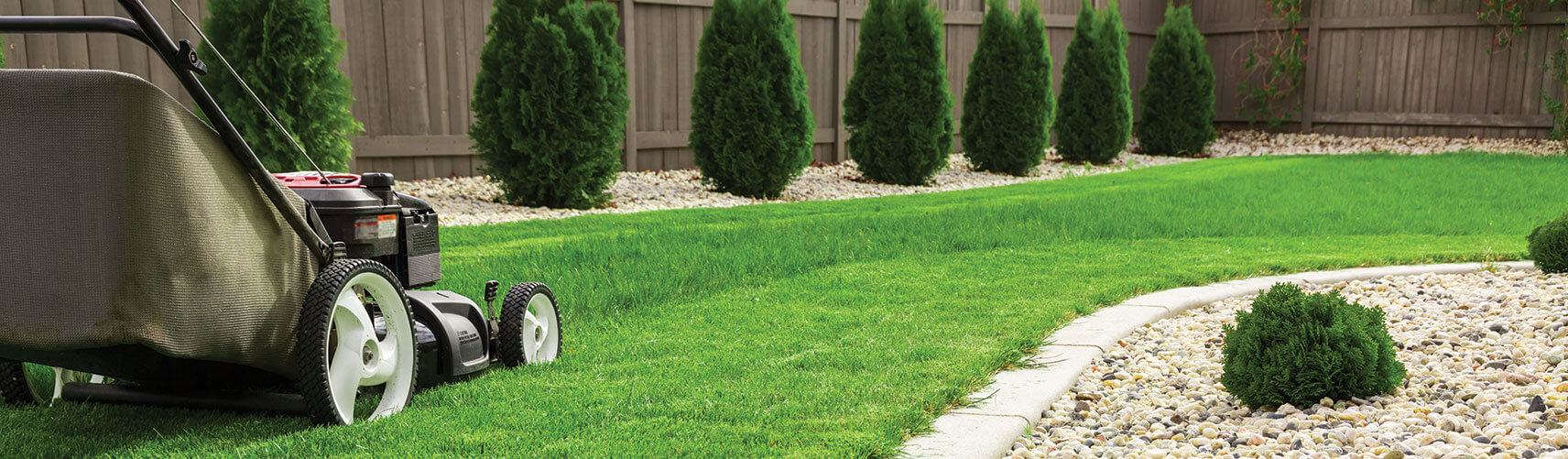 Clearwater Landscaping Company, Landscaper and Lawn Care Services